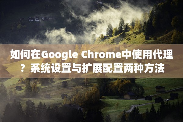 如何在Google Chrome中使用代理？系统设置与扩展配置两种方法