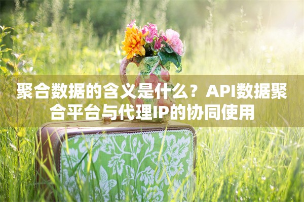 聚合数据的含义是什么？API数据聚合平台与代理IP的协同使用