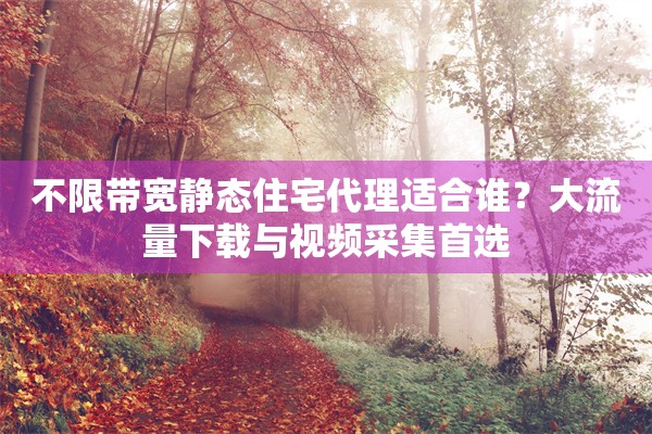 不限带宽静态住宅代理适合谁？大流量下载与视频采集首选