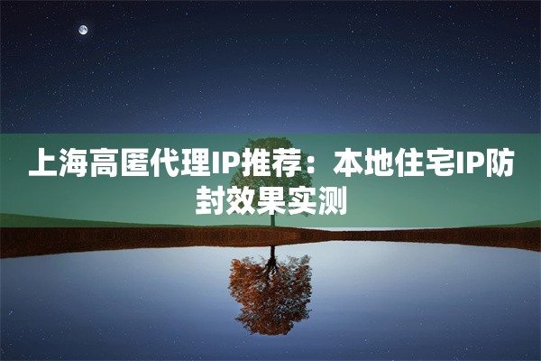 上海高匿代理IP推荐：本地住宅IP防封效果实测