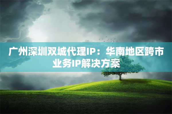 广州深圳双城代理IP：华南地区跨市业务IP解决方案