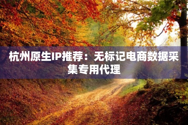 杭州原生IP推荐：无标记电商数据采集专用代理