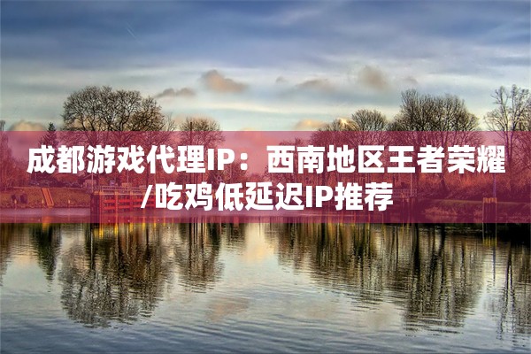 成都游戏代理IP：西南地区王者荣耀/吃鸡低延迟IP推荐