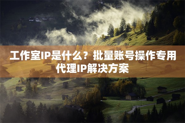 工作室IP是什么？批量账号操作专用代理IP解决方案