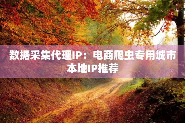 数据采集代理IP:电商爬虫专用城市本地IP推荐