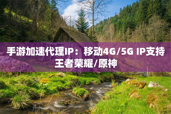 手游加速代理IP:移动4G/5G IP支持王者荣耀/原神