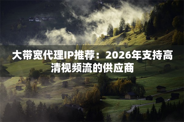 大带宽代理IP推荐：2026年支持高清视频流的供应商