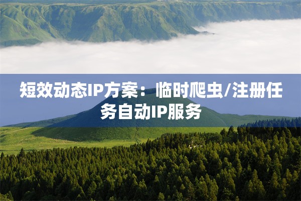 短效动态IP方案：临时爬虫/注册任务自动IP服务