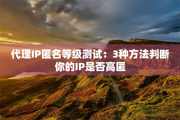 代理IP匿名等级测试：3种方法判断你的IP是否高匿