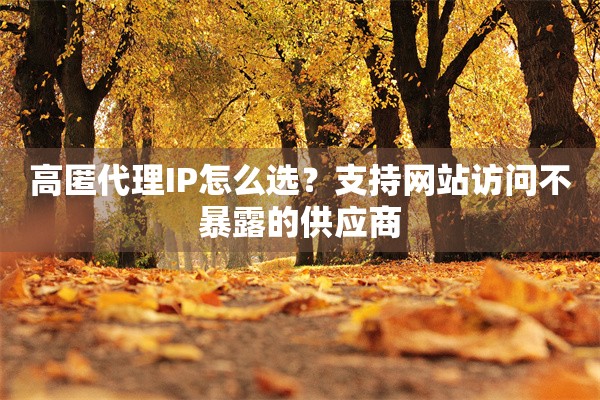 高匿代理IP怎么选？支持网站访问不暴露的供应商