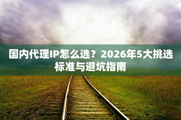 国内代理IP怎么选？2026年5大挑选标准与避坑指南
