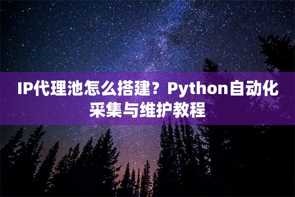 IP代理池怎么搭建？Python自动化采集与维护教程