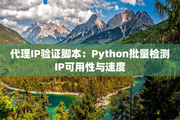 代理IP验证脚本：Python批量检测IP可用性与速度