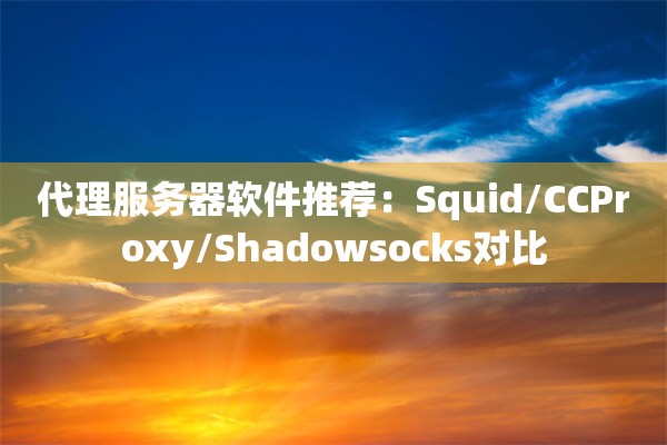 代理服务器软件推荐：Squid/CCProxy/Shadowsocks对比