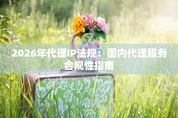 2026年代理IP法规：国内代理服务合规性指南