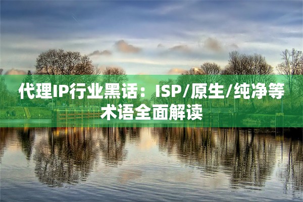 代理IP行业黑话：ISP/原生/纯净等术语全面解读
