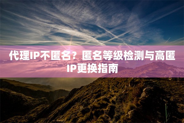 代理IP不匿名？匿名等级检测与高匿IP更换指南