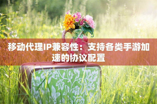 移动代理IP兼容性：支持各类手游加速的协议配置