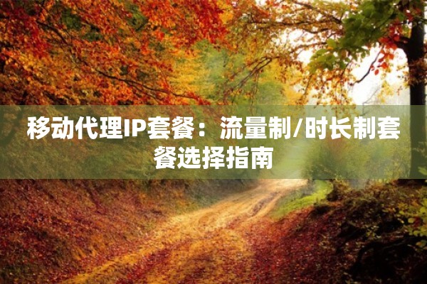 移动代理IP套餐：流量制/时长制套餐选择指南
