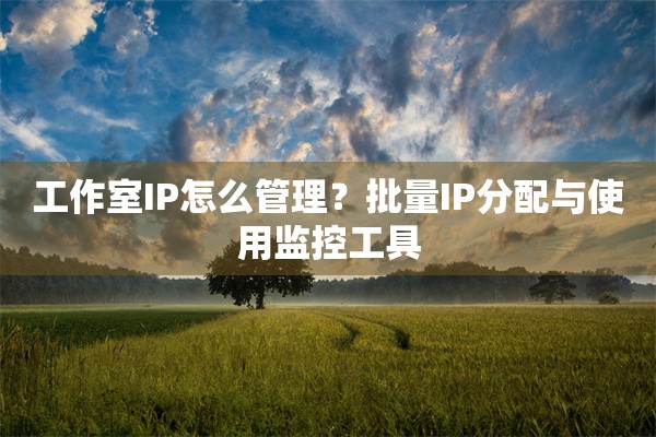 工作室IP怎么管理？批量IP分配与使用监控工具