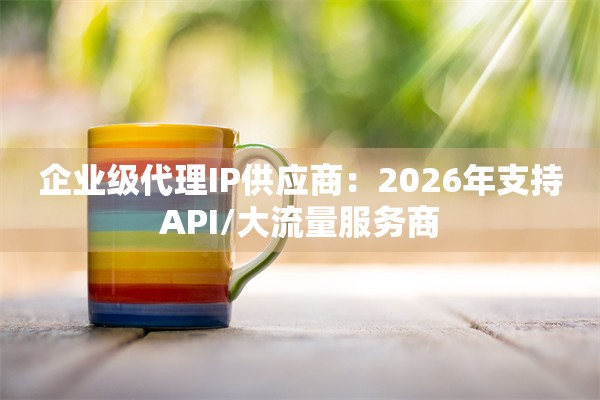 企业级代理IP供应商：2026年支持API/大流量服务商