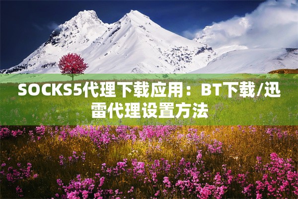 SOCKS5代理下载应用:BT下载/迅雷代理设置方法