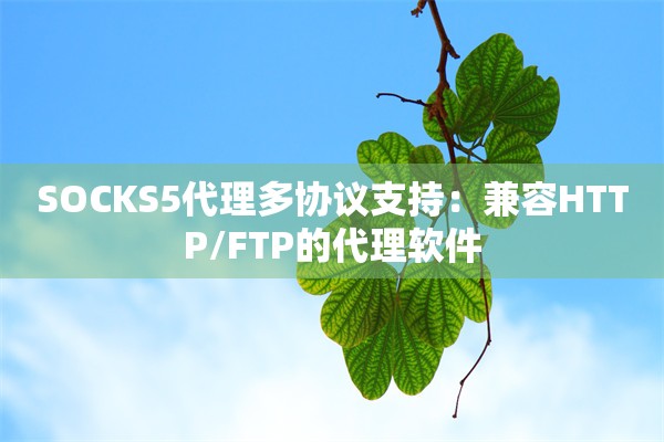SOCKS5代理多协议支持:兼容HTTP/FTP的代理软件
