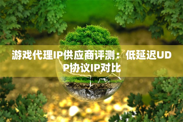 游戏代理IP供应商评测：低延迟UDP协议IP对比