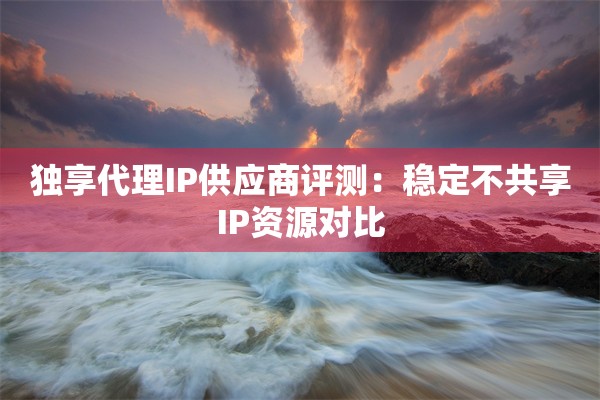 独享代理IP供应商评测：稳定不共享IP资源对比