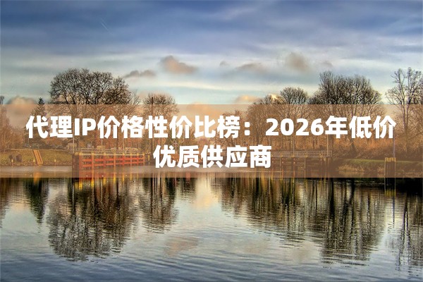 代理IP价格性价比榜：2026年低价优质供应商