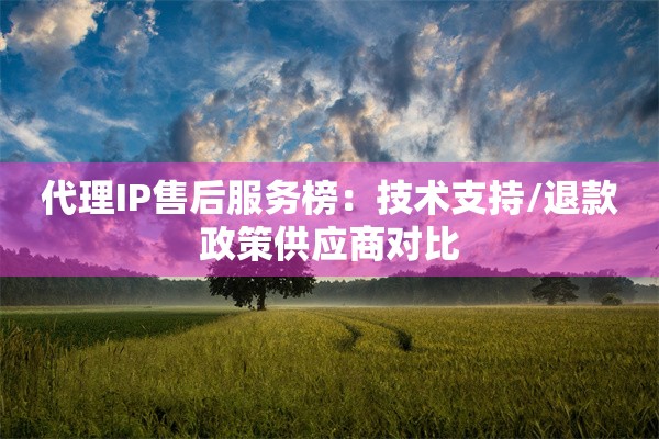 代理IP售后服务榜：技术支持/退款政策供应商对比