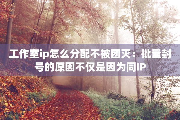 工作室ip怎么分配不被团灭：批量封号的原因不仅是因为同IP