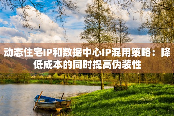 动态住宅IP和数据中心IP混用策略：降低成本的同时提高伪装性