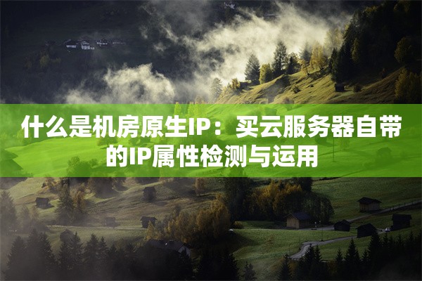 什么是机房原生IP：买云服务器自带的IP属性检测与运用