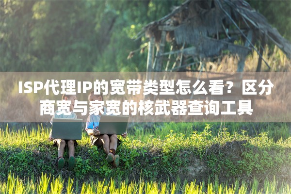 ISP代理IP的宽带类型怎么看？区分商宽与家宽的核武器查询工具