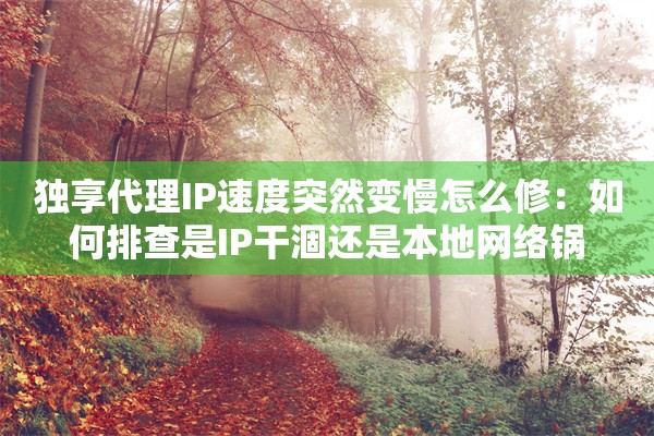 独享代理IP速度突然变慢怎么修：如何排查是IP干涸还是本地网络锅