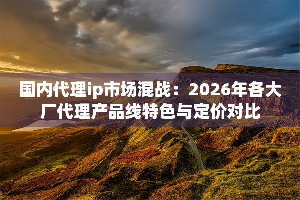 国内代理ip市场混战：2026年各大厂代理产品线特色与定价对比