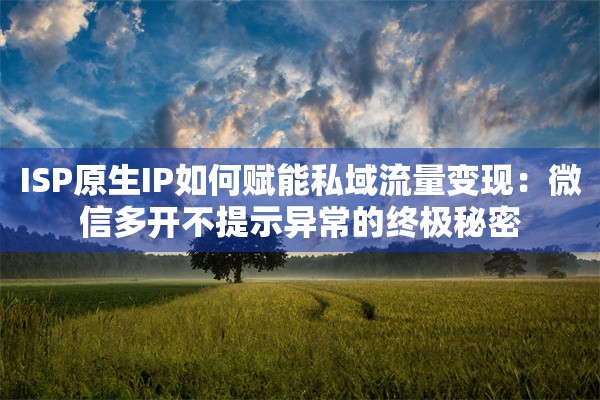 ISP原生IP如何赋能私域流量变现：微信多开不提示异常的终极秘密