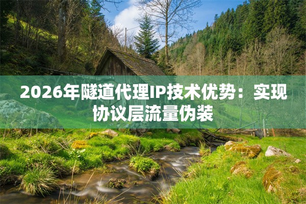 2026年隧道代理IP技术优势：实现协议层流量伪装