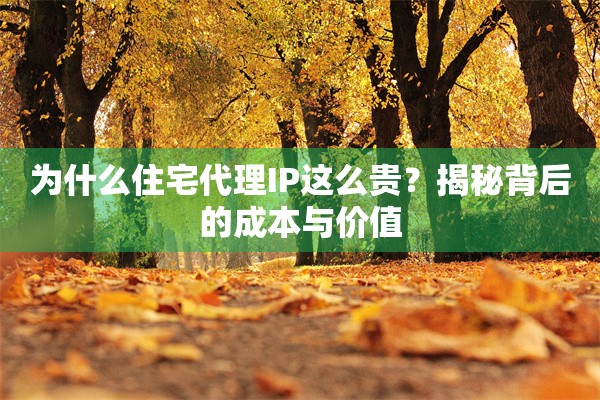 为什么住宅代理IP这么贵？揭秘背后的成本与价值