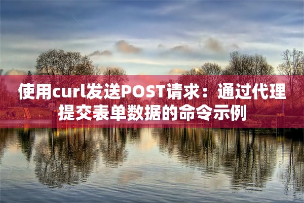 使用curl发送POST请求：通过代理提交表单数据的命令示例