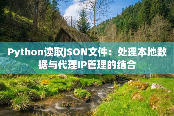 Python读取JSON文件：处理本地数据与代理IP管理的结合