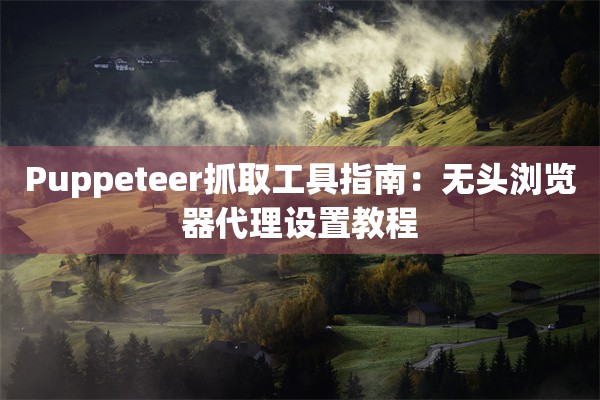 Puppeteer抓取工具指南：无头浏览器代理设置教程