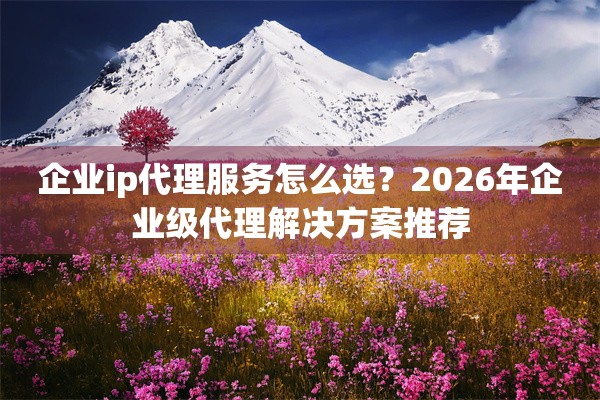 企业ip代理服务怎么选？2026年企业级代理解决方案推荐