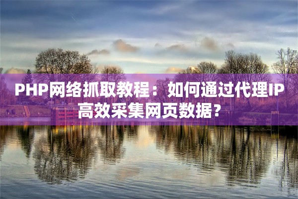 PHP网络抓取教程：如何通过代理IP高效采集网页数据？