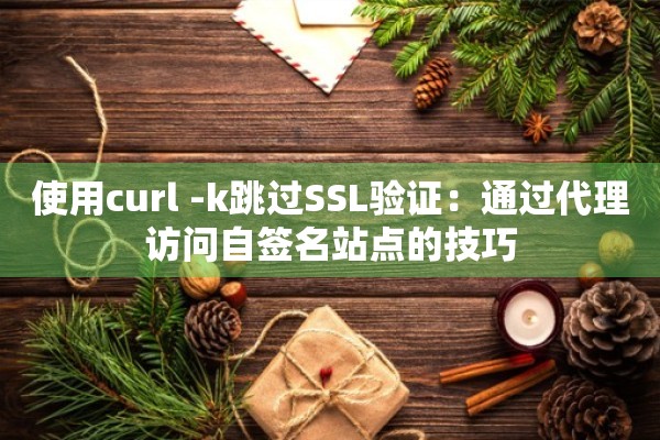 使用curl -k跳过SSL验证：通过代理访问自签名站点的技巧