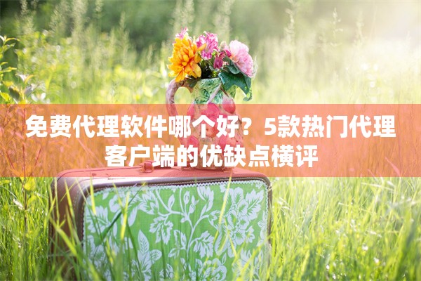 免费代理软件哪个好？5款热门代理客户端的优缺点横评