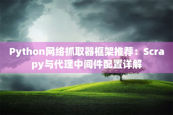 Python网络抓取器框架推荐：Scrapy与代理中间件配置详解