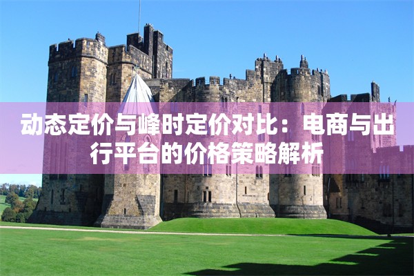 动态定价与峰时定价对比：电商与出行平台的价格策略解析