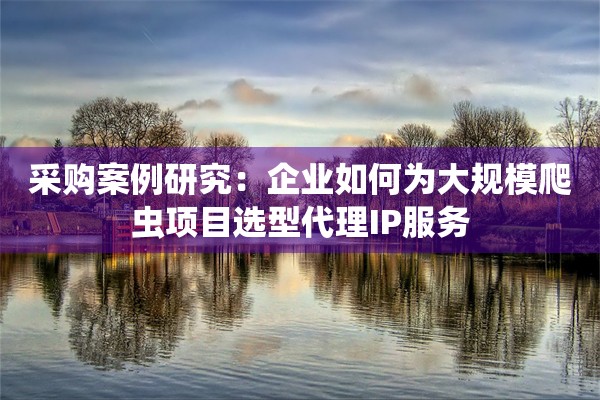 采购案例研究：企业如何为大规模爬虫项目选型代理IP服务